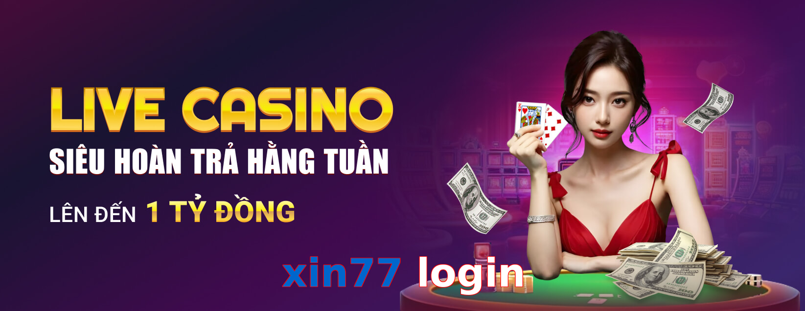xin77 login
